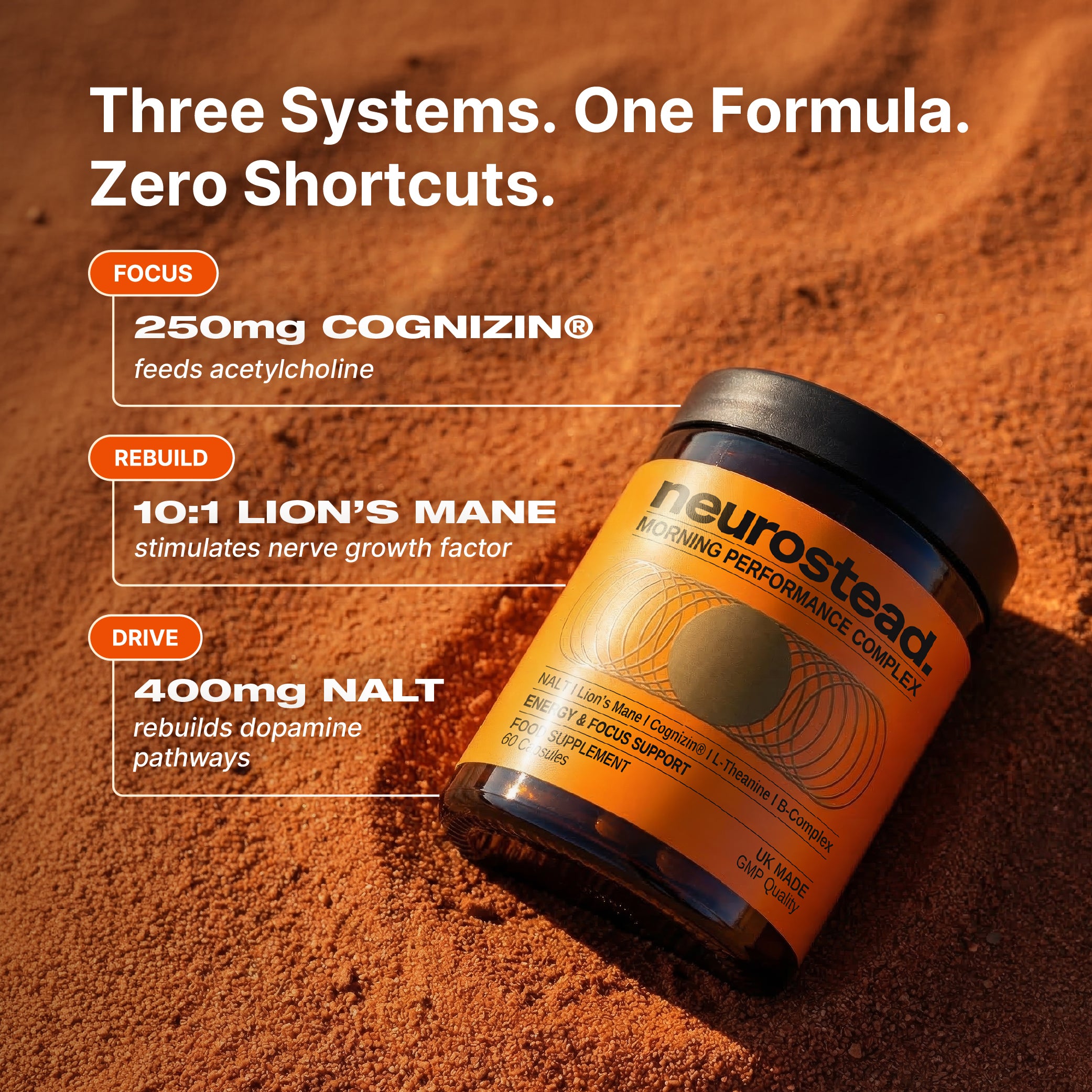 Restore Your Drive. Rebuild Your Focus.
