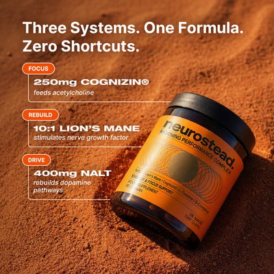 Restore Your Drive. Rebuild Your Focus.